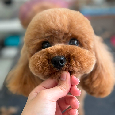 カット中の写真